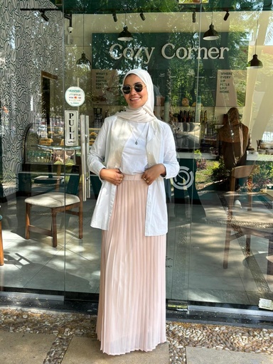 Plain Chiffon Pleated Skirt  - Plush